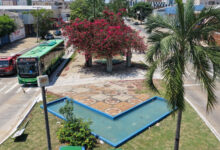 Comurg intensifica zeladoria no Centro com plantio de flores e manejo de árvores