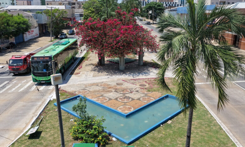 Comurg intensifica zeladoria no Centro com plantio de flores e manejo de árvores