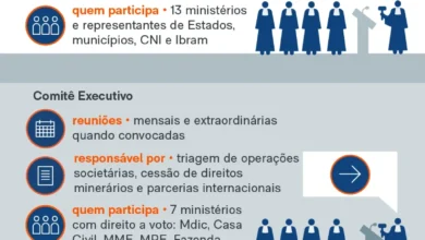 Conselho de minerais críticos priorizará empresas de Estados estrangeiros