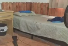 Criança baleada por arma de pressão recebe alta hospitalar em Goiás