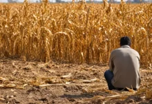 Crise no agronegócio e juros altos preocupam novo presidente da SGPA