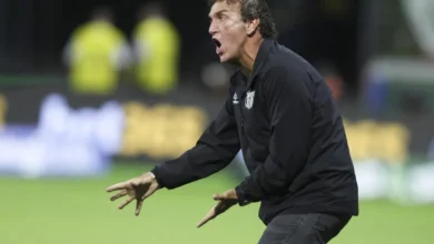 Cuca valoriza campanha do Santos e projeta classificação para a Libertadores