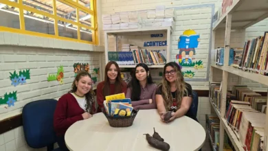 Estudantes criam bioplástico e larvicida com fruto do Cerrado