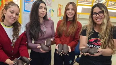 Estudantes utilizam jatobá para criar bioplástico e combater larvas