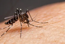Estudo em Goiás aponta alto risco de morte por dengue em UTIs do SUS que somam 5,4 mil internações