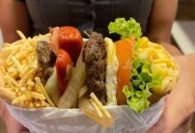 Estudo mapeia tendências e expansão dos pit dogs em Goiás