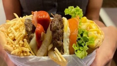 Estudo mapeia tendências e expansão dos pit dogs em Goiás