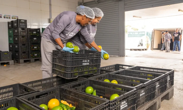 Feriado da Padroeira do Brasil altera expediente em órgãos estaduais de Goiás