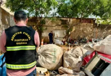 Fiscalização interdita centro de reciclagem na Rua 72 por suspeita de receptação e insalubridade