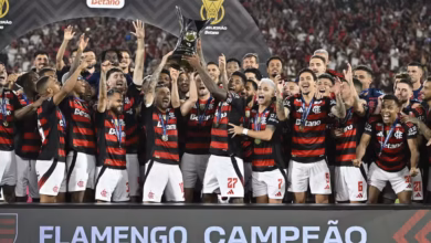 Flamengo dispara nas chances de título do Campeonato Brasileiro após goleada expressiva