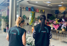 Flores para o Dia de Finados apresentam variação de preço de até 299% na capital