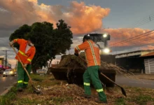 Garis da Comurg ganham meia-entrada em eventos culturais aprovada pela Câmara de Goiânia
