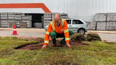 Goiânia amplia áreas verdes com plantio de 104 mil metros quadrados de grama