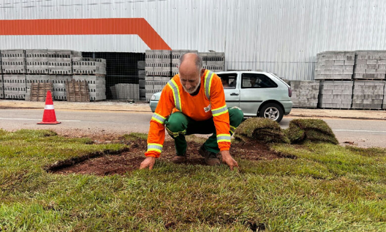 Goiânia amplia áreas verdes com plantio de 104 mil metros quadrados de grama