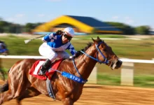 Goiânia comemora 93 anos com corridas de cavalos gratuitas no hipódromo