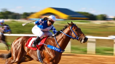 Goiânia comemora 93 anos com corridas de cavalos gratuitas no hipódromo