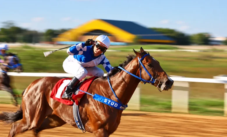 Goiânia comemora 93 anos com corridas de cavalos gratuitas no hipódromo