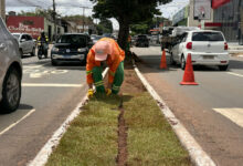 Goiânia expande áreas verdes com plantio de 104 mil metros quadrados de grama