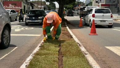 Goiânia expande áreas verdes com plantio de 104 mil metros quadrados de grama