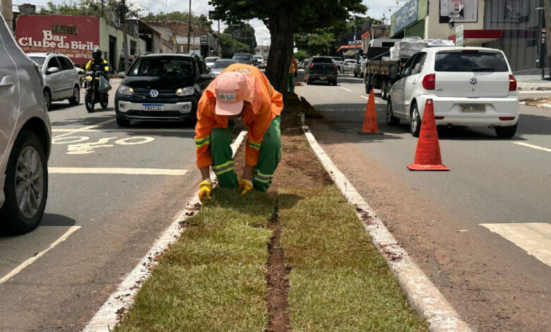 Goiânia expande áreas verdes com plantio de 104 mil metros quadrados de grama