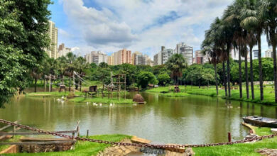 Goiânia oferece entrada gratuita no Mutirama e Zoológico para o Dia das Crianças