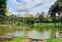 Goiânia oferece entrada gratuita no Zoológico e Mutirama para o Dia das Crianças com programação
