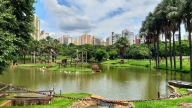 Goiânia oferece entrada gratuita no Zoológico e Mutirama para o Dia das Crianças com programação