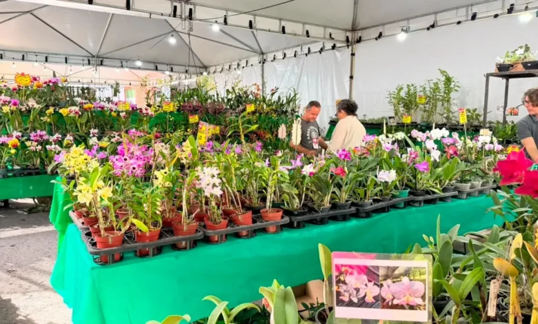 Goiânia sedia 2ª Exposição Regional de Orquídeas com entrada gratuita e troca solidária