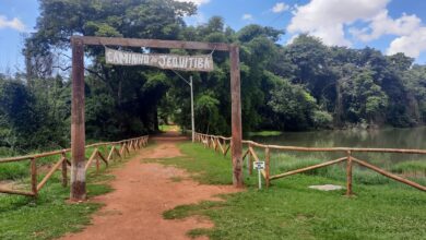Goiás debate projeto que garante acesso de jovens a espaços verdes e natureza