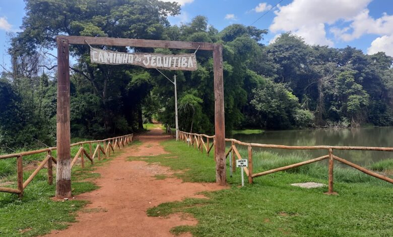 Goiás debate projeto que garante acesso de jovens a espaços verdes e natureza