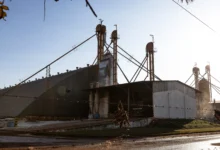 Goiás projeta ganho milionário com acordo entre Mercosul e União Europeia