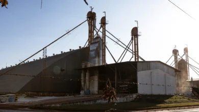 Goiás projeta ganho milionário com acordo entre Mercosul e União Europeia