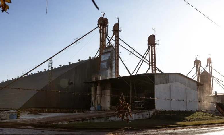 Goiás projeta ganho milionário com acordo entre Mercosul e União Europeia