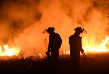 Governo intensifica forças contra incêndios florestais na Amazônia