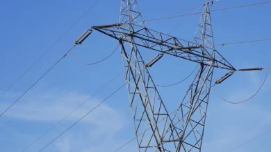 Governo realiza último leilão de transmissão de energia do ano e mira investimentos milionários