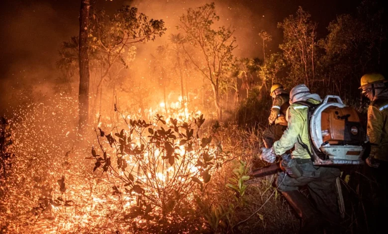 Incêndios no Amazonas recebem reforço de força-tarefa enviada por São Paulo