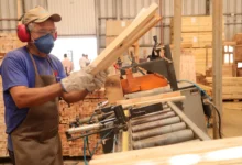 Indústria de Goiás registra avanço em todos os setores produtivos
