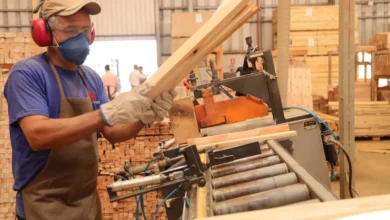 Indústria de Goiás registra avanço em todos os setores produtivos