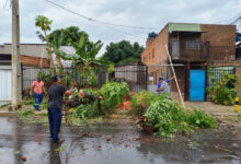 Infraestrutura de Senador Canedo intensifica reparos após tempestade