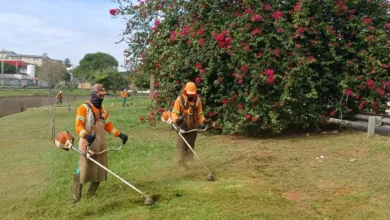 Mabel institui bônus de produtividade na Comurg para otimizar zeladoria em Goiânia