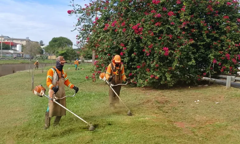 Mabel institui bônus de produtividade na Comurg para otimizar zeladoria em Goiânia