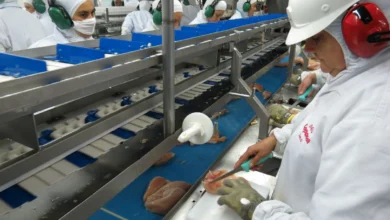 México suspende importação de frango brasileiro após foco sanitário