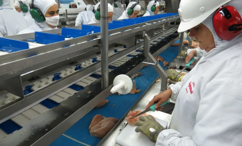 México suspende importação de frango brasileiro após foco sanitário