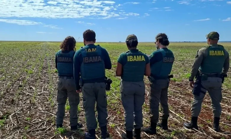 Multas de quase R$ 900 mil aplicadas por Plantio irregular de milho transgênico em Goiás
