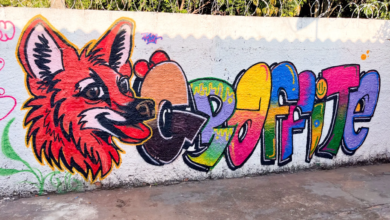 Mural coletivo com lobo-guará marca oficina de grafite em bairro