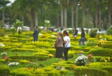 O destino das flores e dos arranjos deixados nos túmulos após o Dia de Finados