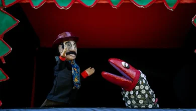 Oficina de teatro de bonecos estimula a criatividade infantil em Goiás
