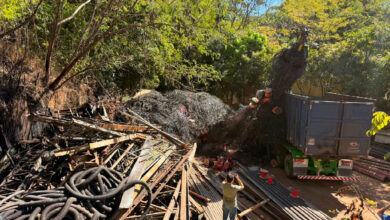 Operação Cidade Segura remove 203 toneladas de fios e organiza rede aérea em Goiânia