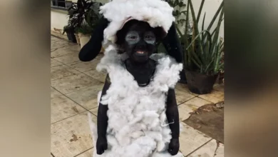 Pais dedicam a madrugada para confeccionar fantasia de Shaun, o Carneiro