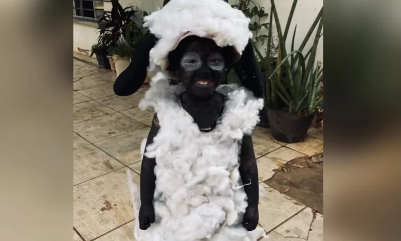 Pais dedicam a madrugada para confeccionar fantasia de Shaun, o Carneiro